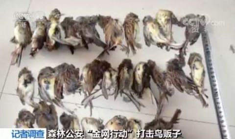 星空·综合体育