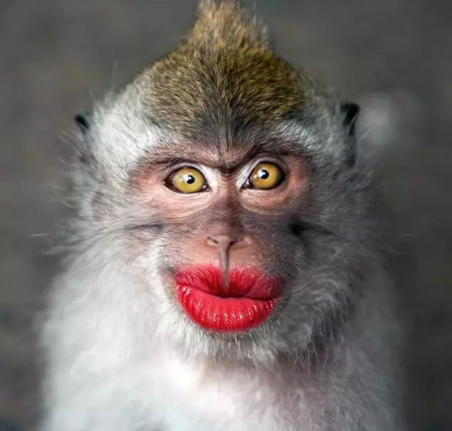 星空·综合体育|《超人总动员》回归惊艳D23全场(图3) 星空·综合体育