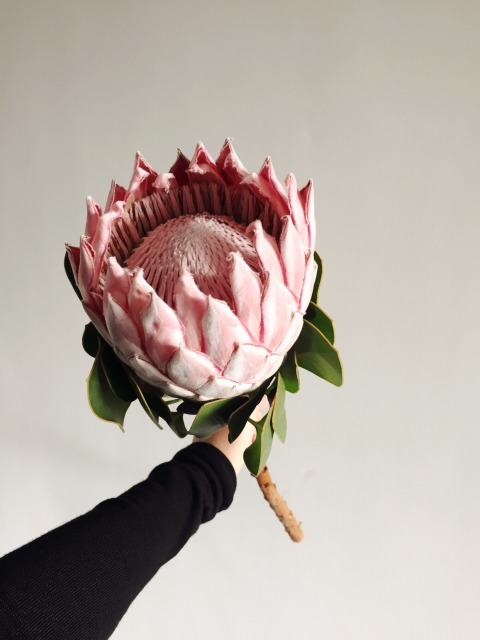 星空·综合体育