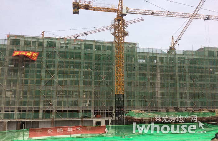 梅花社区:清洁乡村 党员先行【星空·综合体育】(图1) 星空综合