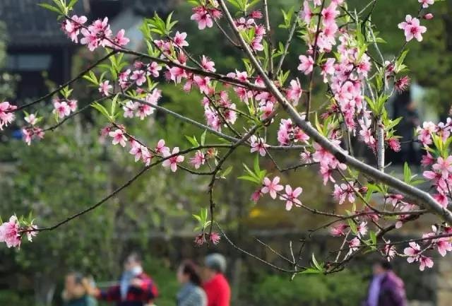 中超中甲保级升级赛,绿城2-2卓尔,把悬念留到第二回合【星空综合】(图3) 星空·综合体育