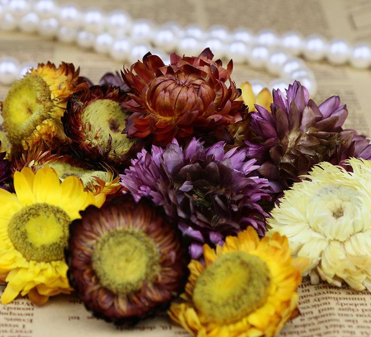 星空·综合体育