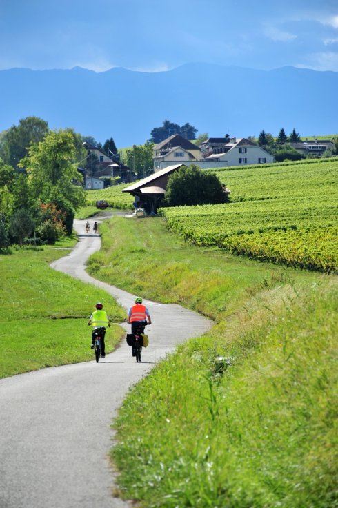 星空·综合体育_湖南省委常委班子调整 傅奎任省委常委、纪委书