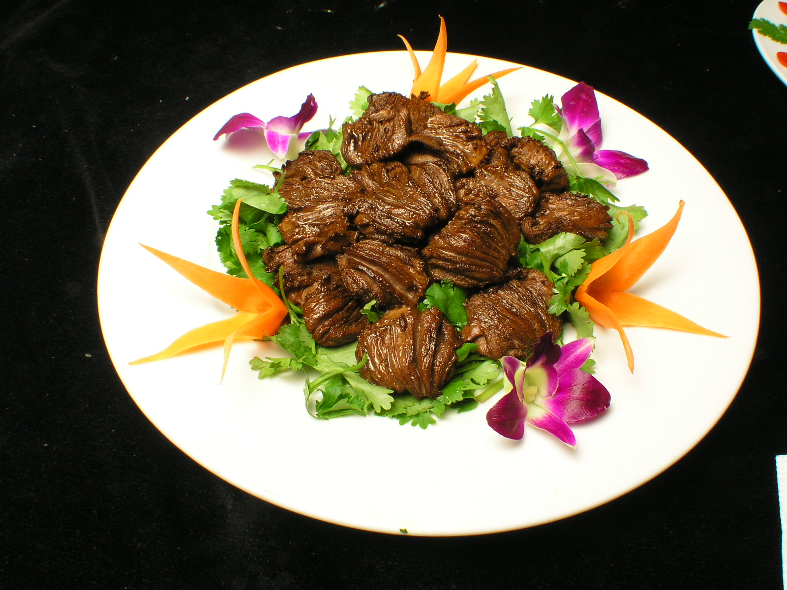 星空·综合体育