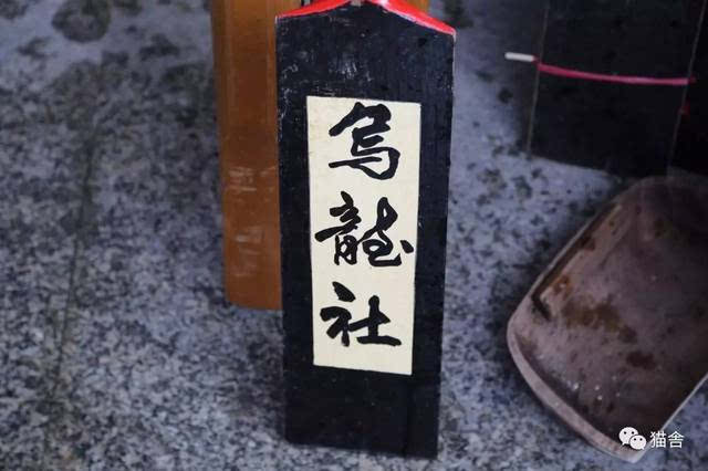 星空·综合体育