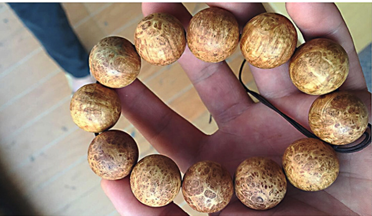 一拳打死牛！水树奈奈在上坂堇节目中示范杠铃打CALL_星空综