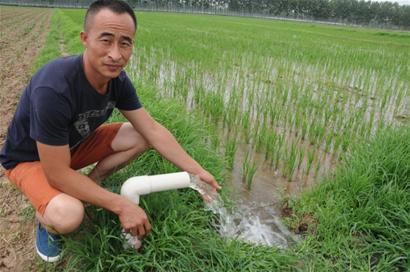 
华南虎到底灭绝了没有？现在野外另有华南虎吗？【星空综合】