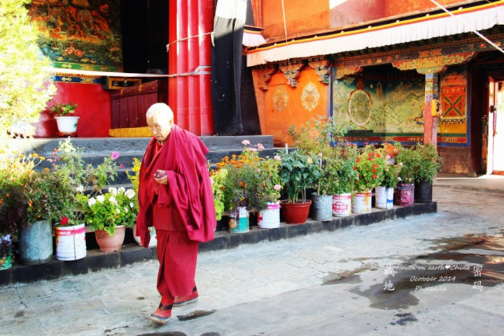 严陵社区开展出租房消防安全大排查|星空·综合体育