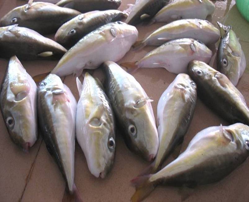 星空·综合体育_中甲第6轮战报+积分榜 梅州2比1送逾越6连