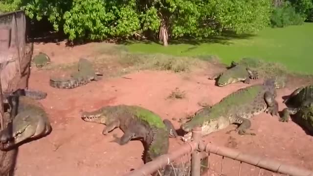 星空·综合体育