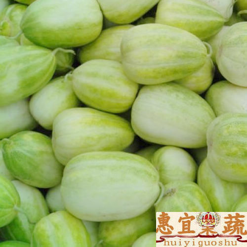 星空·综合体育