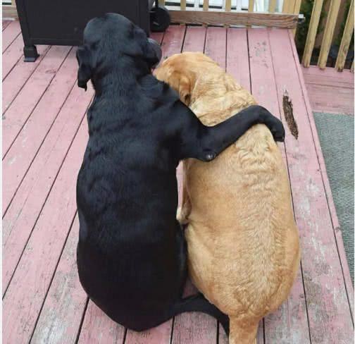 星空·综合体育