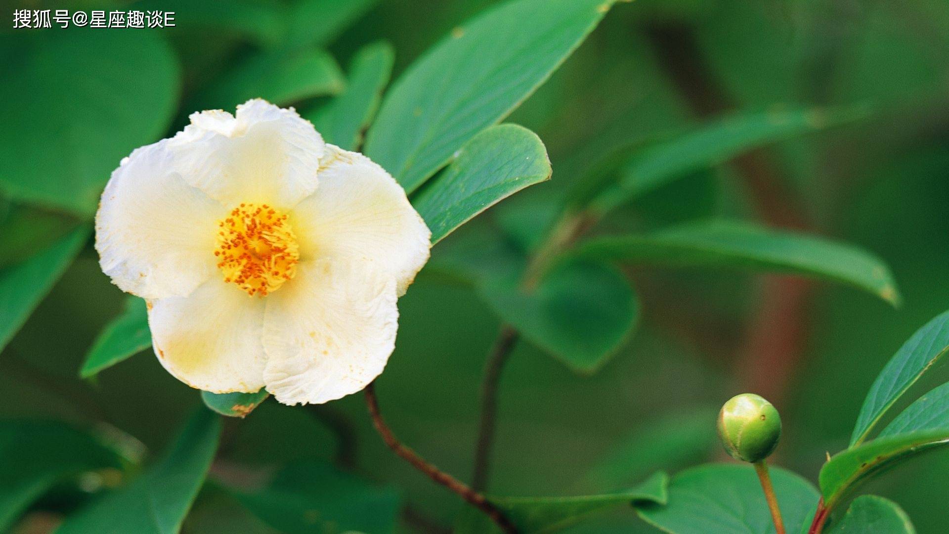 星空·综合体育：
10月26日星座运势：坚守原则 独立自主的四大星座(图2)
