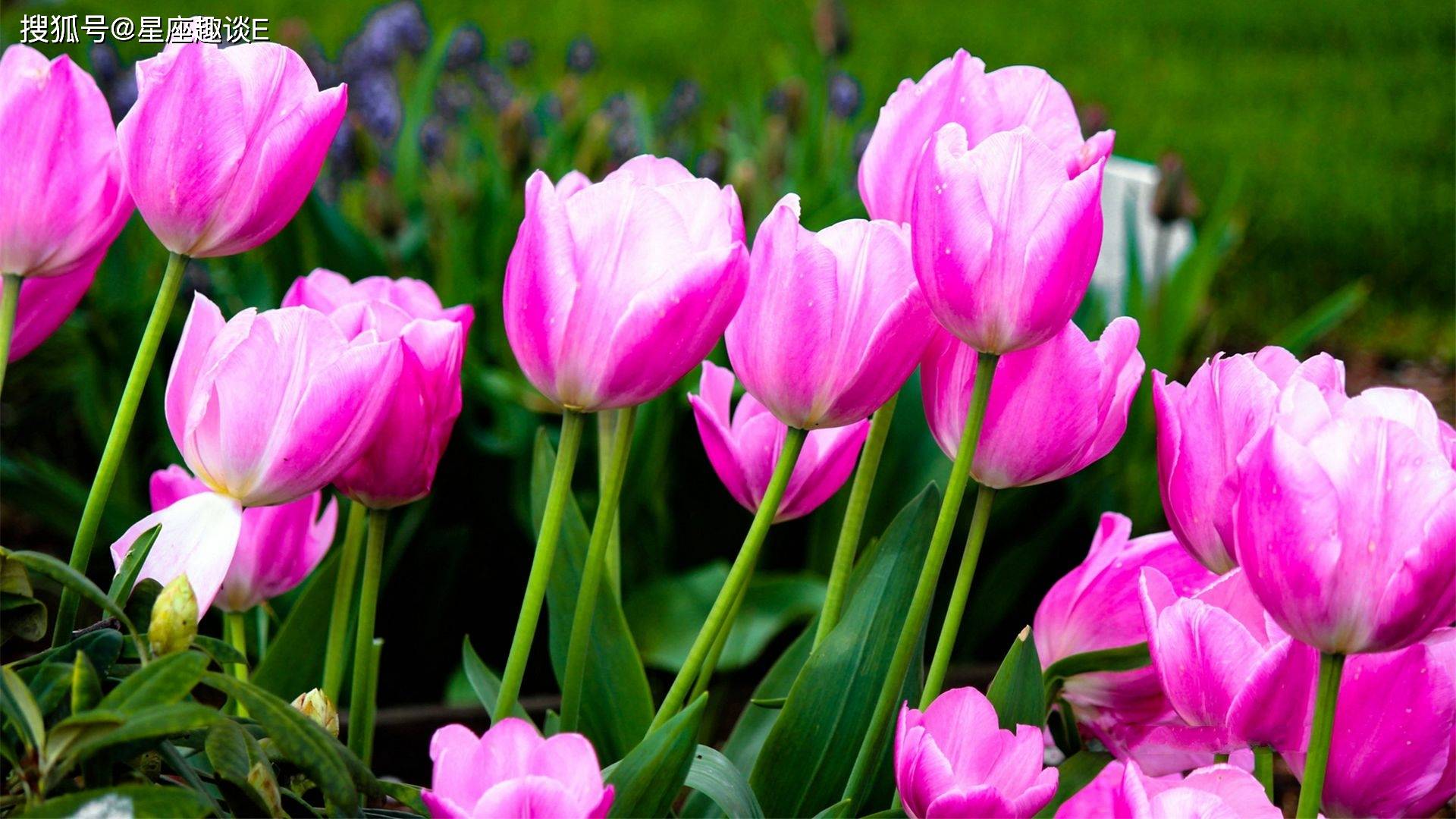 星空·综合体育：
10月26日星座运势：坚守原则 独立自主的四大星座(图4)