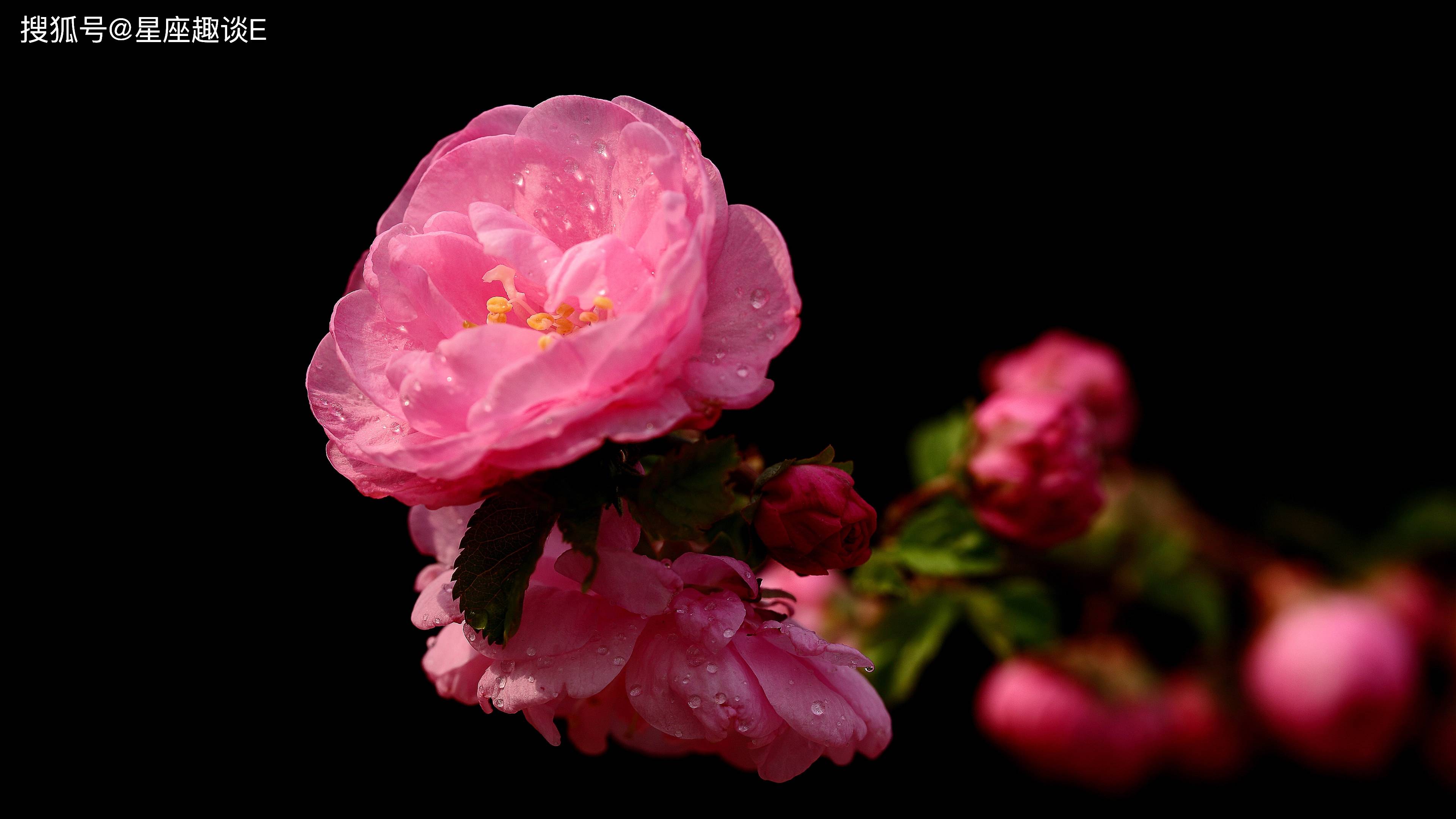 星空·综合体育：
10月26日星座运势：坚守原则 独立自主的四大星座(图5)