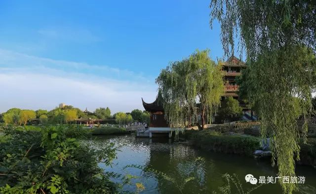 ‘星空·综合体育’海贼继续第一！最新网络点击榜公布