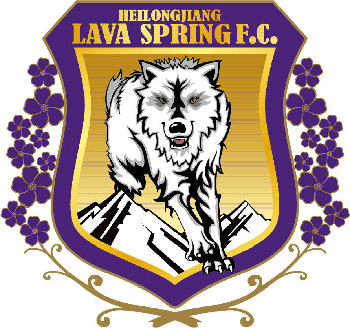 
仅4天时间！中甲黑龙江队紧迫征集新名称 本赛季惊险完成保级：星空·综合体育(图1)