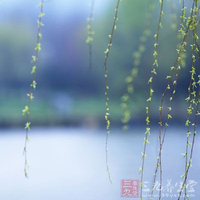 星空·综合体育