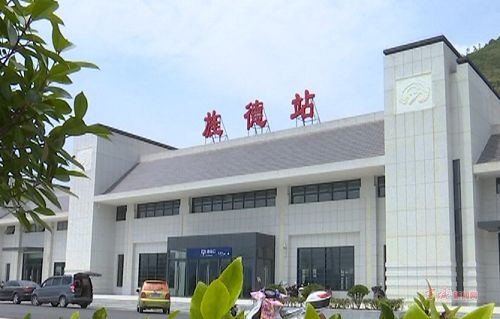 《我叫坂本我最屌》动画第十话先行图 女大学生也不放过【星空·