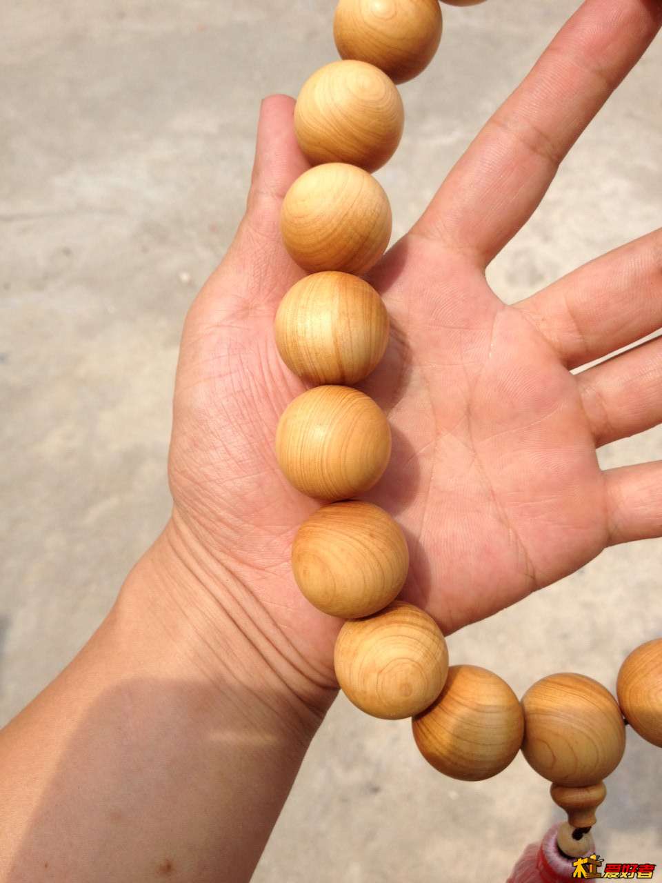 全华班！中超26名裁判停当：争冠组避开马宁+傅明，张雷成焦点
