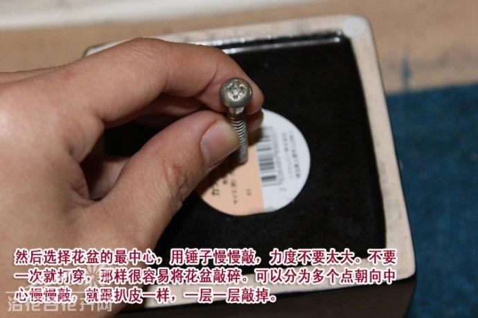 星空综合